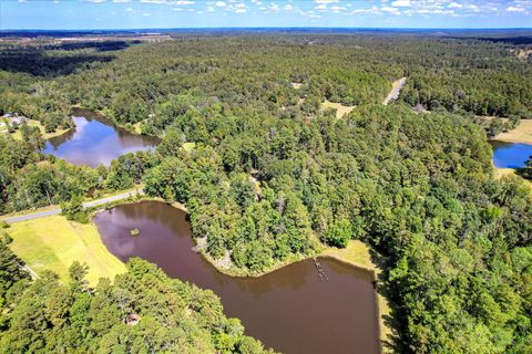Tiny photo for 98 Bream Oak Road, Trenton, SC 29847 (MLS # 219734)
