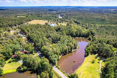 Tiny photo for 98 Bream Oak Road, Trenton, SC 29847 (MLS # 219734)