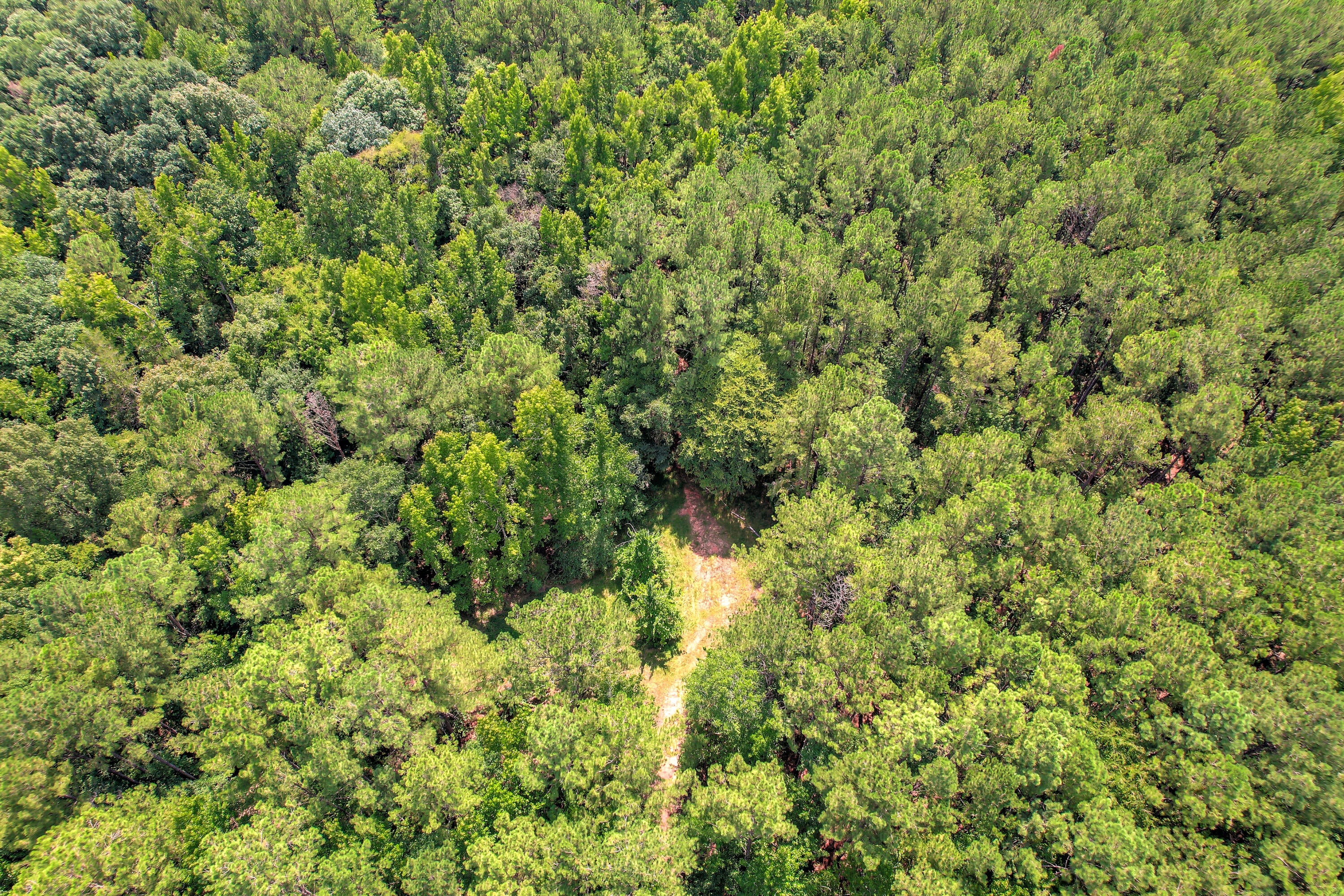 157 Promised Land Road