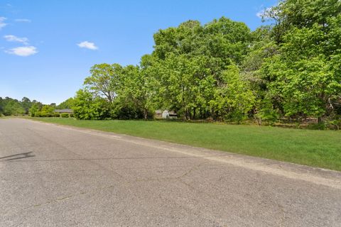 Tiny photo for 192 Marcia Street, Williston, SC 29853 (MLS # 217044)