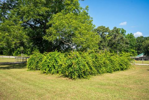 Tiny photo for 13 Marion Young Court, Aiken, SC 29801 (MLS # 218502)