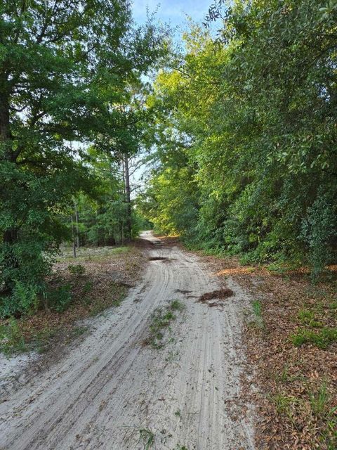 Photo of 1327 Charlies Loop, Williston, SC 29853 (MLS # 221821)