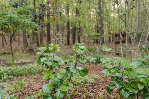 Tiny photo for 213 Birch Tree Circle, Aiken, SC 29803 (MLS # 216782)