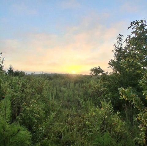 Photo of 30a Bowie Road, Troy, SC 29848 (MLS # 220677)