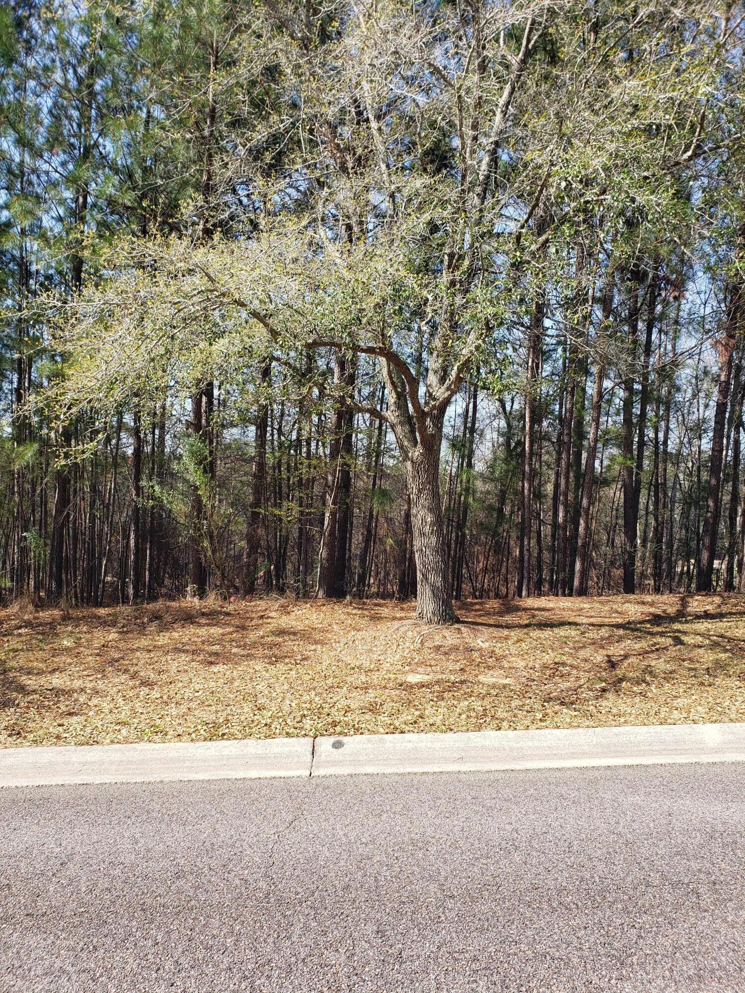 543 W Pleasant Colony Drive Lot 290