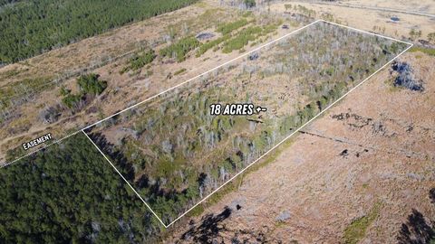 Photo of 00 Epps Road, Manning, SC 29102 (MLS # 221768)