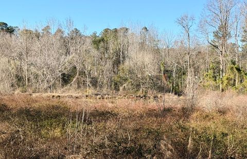 Tiny photo for 44 Carolina Springs Spur Spur, North Augusta, SC 29841 (MLS # 221525)