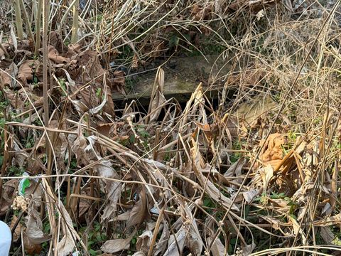 Tiny photo for 44 Carolina Springs Spur Spur, North Augusta, SC 29841 (MLS # 221525)