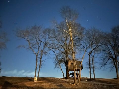 Tiny photo for 127 & 0 Martin Hollow Road, Aiken, SC 29803 (MLS # 221664)