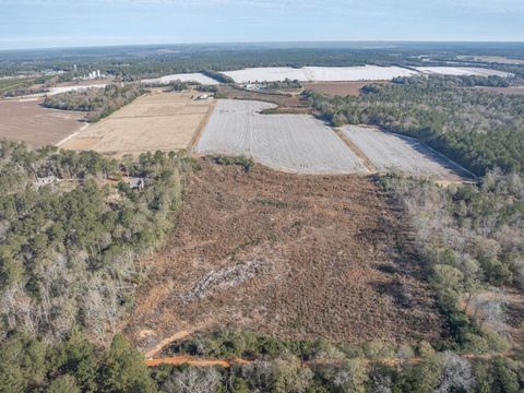 Tiny photo for 127 & 0 Martin Hollow Road, Aiken, SC 29803 (MLS # 221664)