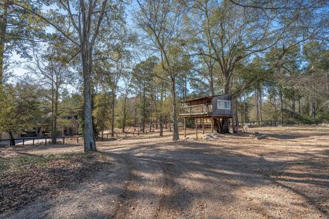 Tiny photo for 127 & 0 Martin Hollow Road, Aiken, SC 29803 (MLS # 221664)