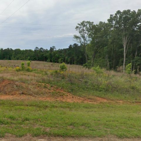 Unimproved Land in Lincolnton GA 00 Chamberlain Ferry Road.jpg