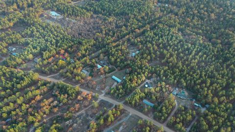 Tiny photo for 617 Pine Grove Road, Batesburg-Leesville, SC 29070 (MLS # 220830)