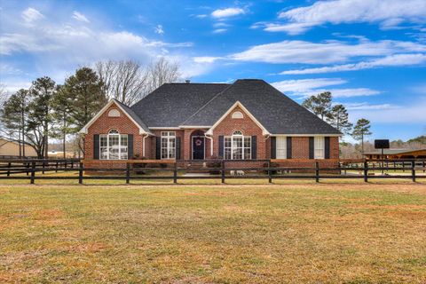 225 Flowing Well Road, Wagener, SC 29164 - #: 210531