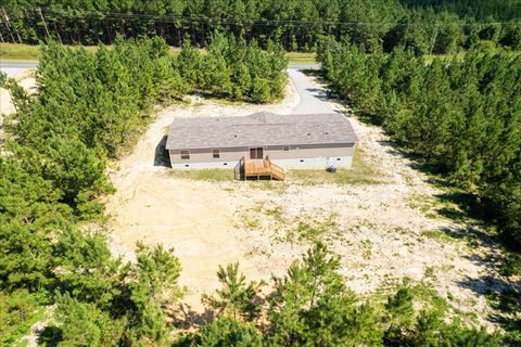 Tiny photo for 406 Catalina Boulevard, Swansea, SC 29160 (MLS # 217852)