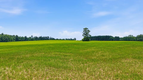 Photo of 00 Bodie Road, Wagener, SC 29164 (MLS # 224108)