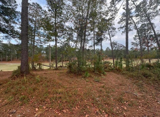 BIRDIE PL, GRANITEVILLE, SC 29829 - Image 7c89840f6e5b60c6ab36477bd47dcaf2/3263115419
