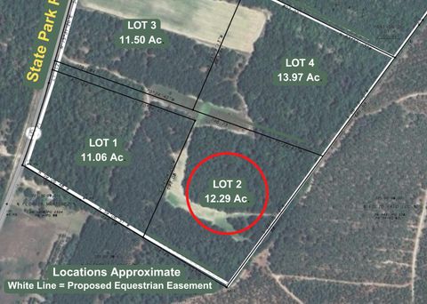 Photo of 12.29 Acre State Park Road, Windsor, SC 29856 (MLS # 220221) Photo of 12.29 Acre State Park Road, Windsor, SC 29856 (MLS # 220221)