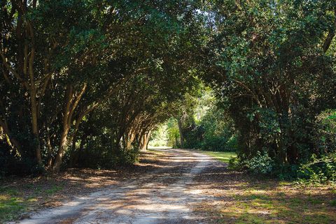 Tiny photo for 486 Montmorenci Road, Aiken, SC 29801 (MLS # 219869)