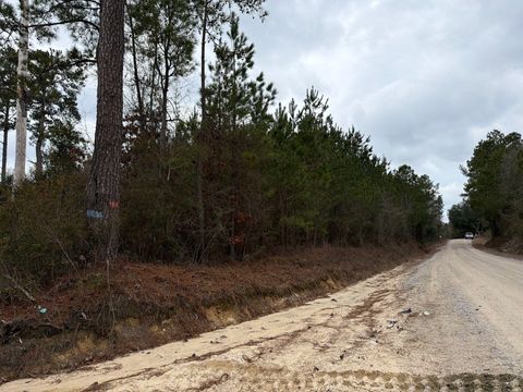 Photo of Bff Ii 2 J C Barefoot Road, Cheraw, SC 29520 (MLS # 222049)