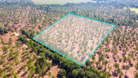 Unimproved Land in Wagener SC (Lot 5) Bluffwood Road.jpg