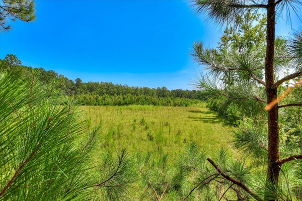 170 LANDING RD, JACKSON, SC 29831 - Image 8103e8295c0b1624c04dc2c8cd9b8954/846329693