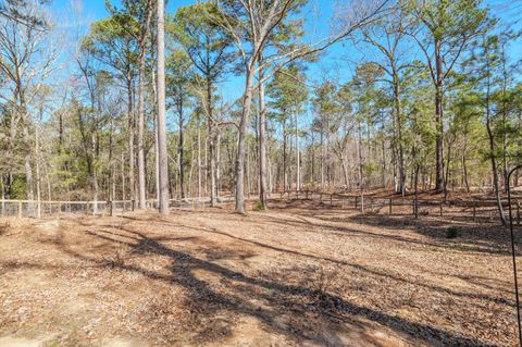 Tiny photo for 2935 Banks Mill Road SE, Aiken, SC 29803 (MLS # 222088)