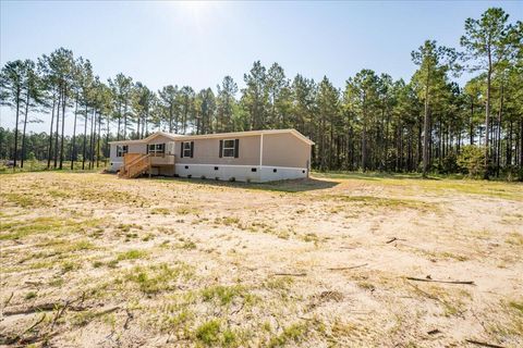 Tiny photo for 770 White Pond Road, Williston, SC 29853 (MLS # 219398)