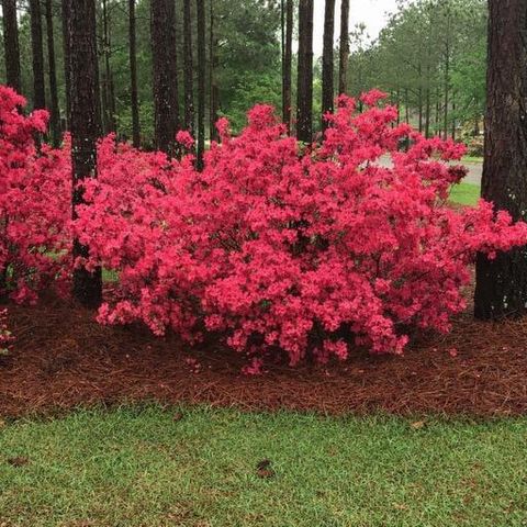 Tiny photo for 142 Windermere Way, Aiken, SC 29803 (MLS # 221212)