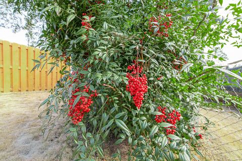 Tiny photo for 3215 Colonial Drive, Aiken, SC 29801 (MLS # 222071)