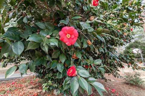 Tiny photo for 3215 Colonial Drive, Aiken, SC 29801 (MLS # 222071)