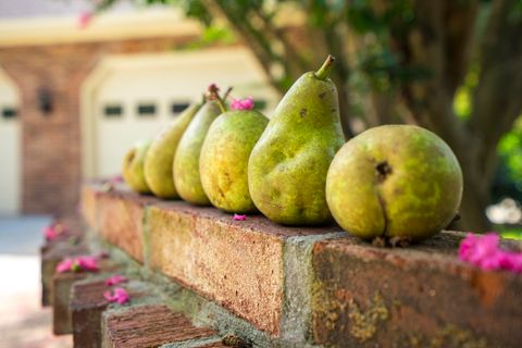 Tiny photo for 670 Partridge Bend Road, Aiken, SC 29803 (MLS # 218816)