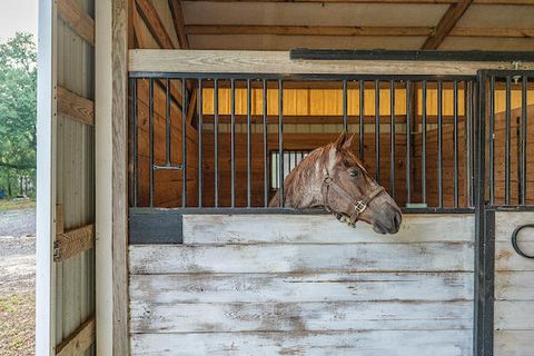 Tiny photo for 1792 Appleton Road, Allendale, SC 29810 (MLS # 213196)