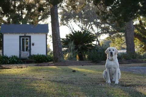 Tiny photo for 1792 Appleton Road, Allendale, SC 29810 (MLS # 213196)