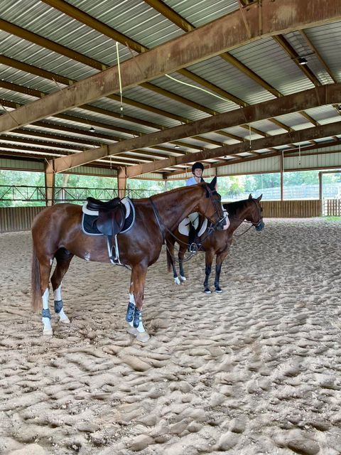 Tiny photo for 1792 Appleton Road, Allendale, SC 29810 (MLS # 213196)