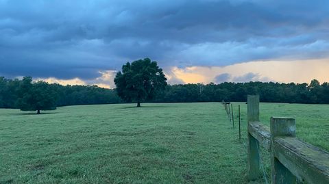 Tiny photo for 1792 Appleton Road, Allendale, SC 29810 (MLS # 213196)