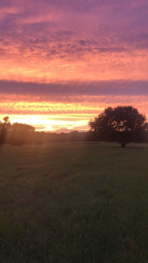 Tiny photo for 1792 Appleton Road, Allendale, SC 29810 (MLS # 213196)