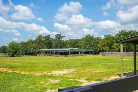 Tiny photo for 1792 Appleton Road, Allendale, SC 29810 (MLS # 213196)