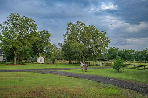 Tiny photo for 1792 Appleton Road, Allendale, SC 29810 (MLS # 213196)