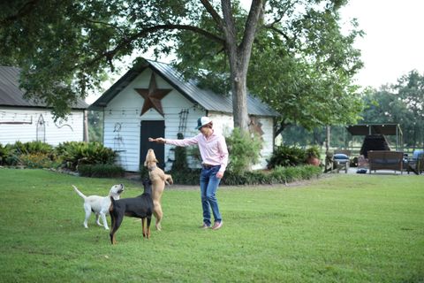 Tiny photo for 1792 Appleton Road, Allendale, SC 29810 (MLS # 213196)