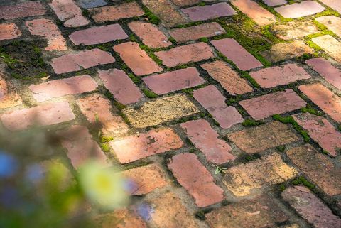 Tiny photo for 1792 Appleton Road, Allendale, SC 29810 (MLS # 213196)