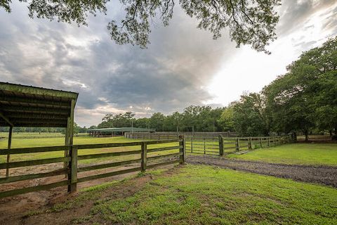 Tiny photo for 1792 Appleton Road, Allendale, SC 29810 (MLS # 213196)