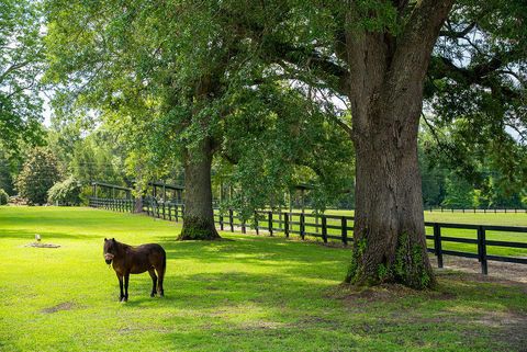 Tiny photo for 1792 Appleton Road, Allendale, SC 29810 (MLS # 213196)