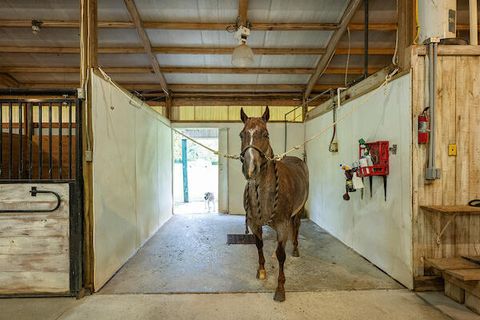 Tiny photo for 1792 Appleton Road, Allendale, SC 29810 (MLS # 213196)