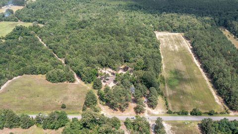 Tiny photo for 286 State Park Road, Windsor, SC 29856 (MLS # 217975)