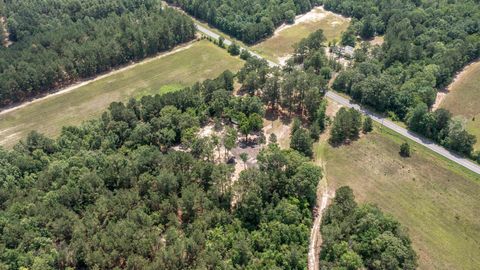 Tiny photo for 286 State Park Road, Windsor, SC 29856 (MLS # 217975)