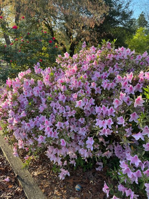 Tiny photo for 2138 Joyner Pond Road, Aiken, SC 29803 (MLS # 221267)