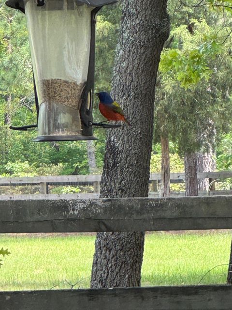 Tiny photo for 2138 Joyner Pond Road, Aiken, SC 29803 (MLS # 221267)