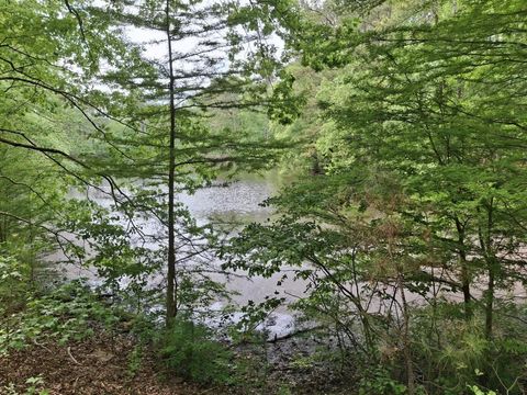 Photo of 000-A Hummingbird Drive, Trenton, SC 29847 (MLS # 222954)