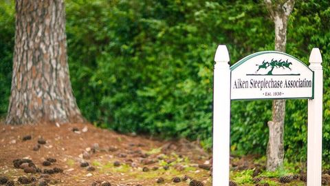 Tiny photo for 3134 Nolana Loop Loop, Graniteville, SC 29829 (MLS # 217707)